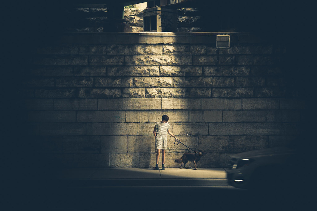 Female in Striped Outfit Walking a Dog